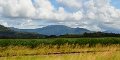DSC_0031a