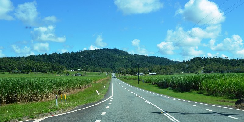DSC_0005.JPG - Approaching Bowen; sugar cane plantations