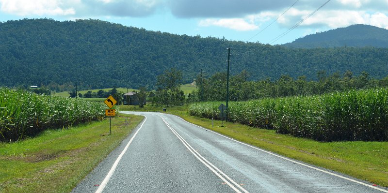 DSC_0008.JPG - Approaching Bowen; sugar cane plantations