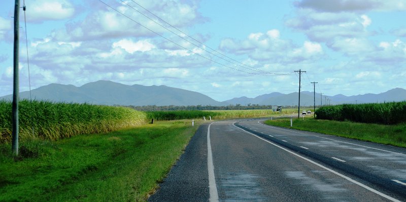 DSC_0014.JPG - Approaching Bowen; sugar cane plantations