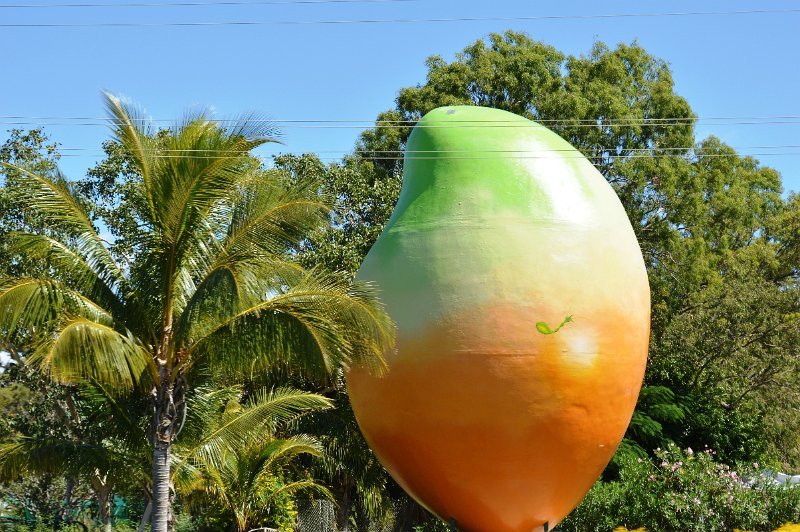 DSC_0017.JPG - Bowen's "Biag Mango"