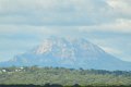 DSC_0025crop