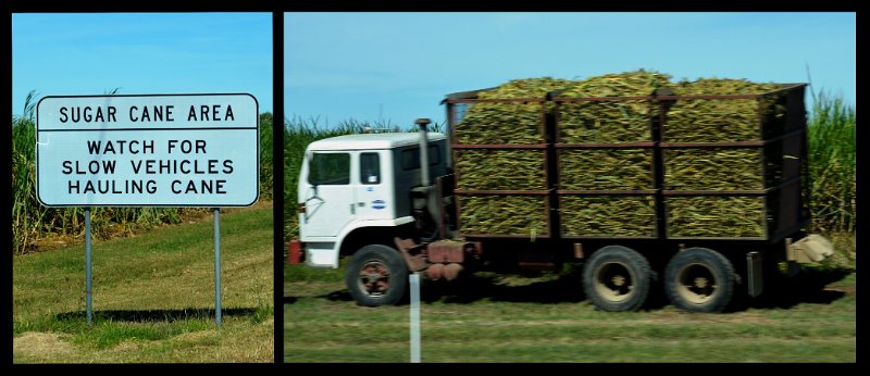 05Tville1.jpg - Cane fields between Homehill and Townsville