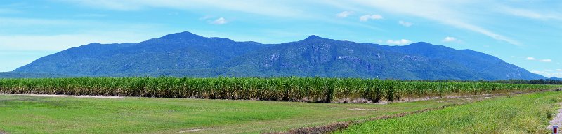 05TvillePan04.JPG - Cane fields between Homehill and Townsville