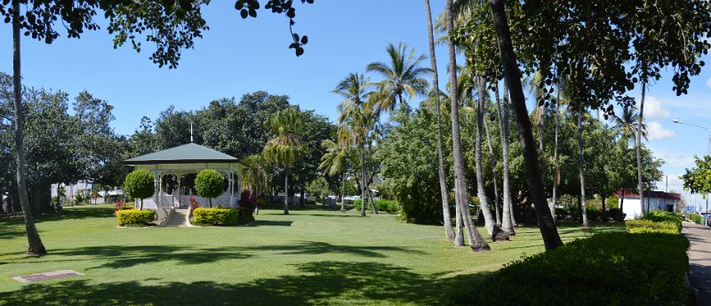 09TvillePan04.JPG - Townsville; The Strand, Fig Trees