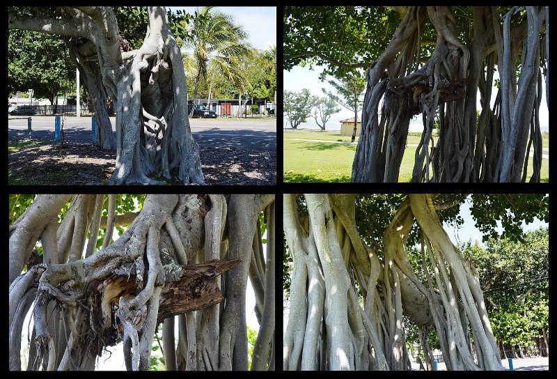 10Tville1.jpg - Townsville; Rowes Bay outside our stopover