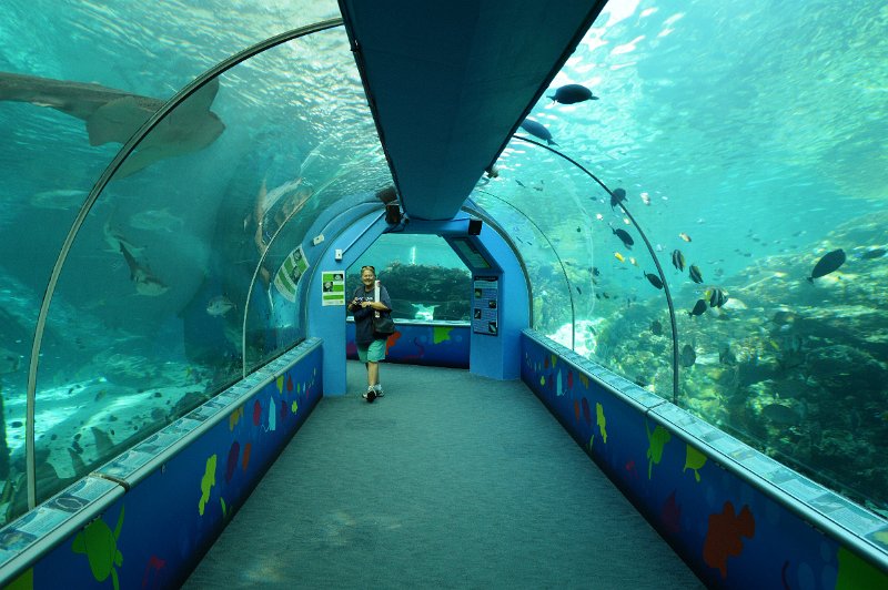 DSC_0100.JPG - Townsville; Great Barrier Reef Aquarium (Reef HQ)
