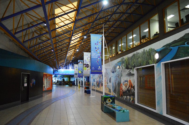 DSC_0131.JPG - Townsville; Great Barrier Reef Aquarium (Reef HQ)