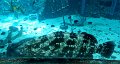 DSCN1675