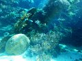 DSCN1677