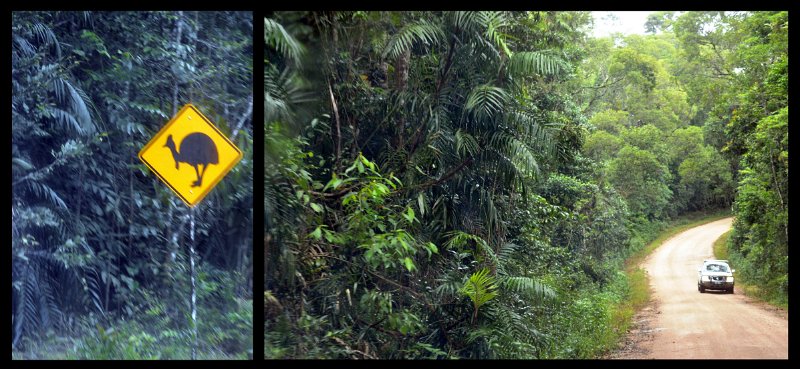 14Ingham3.jpg - Ingham to Wallaman Falls