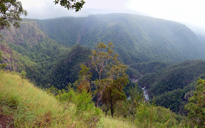 14InghamPan07.JPG - Wallaman Falls gorge