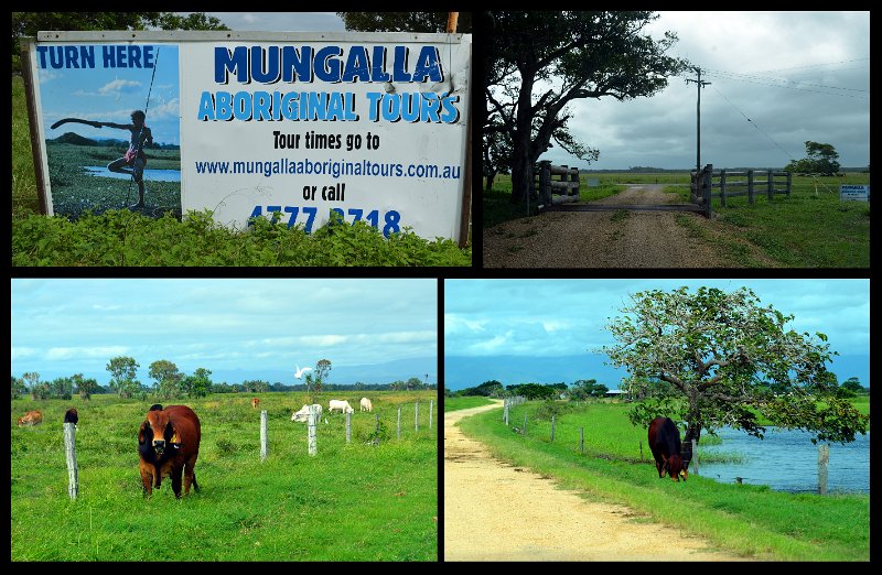 15Lucinda6.jpg - Mungalla Station