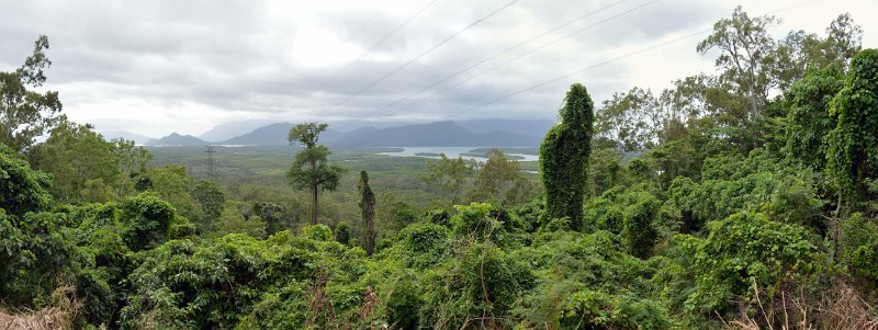 16LucindaPan09.JPG - Hinchinbrook Island lookout on the drive from Lucinda to Cardwell