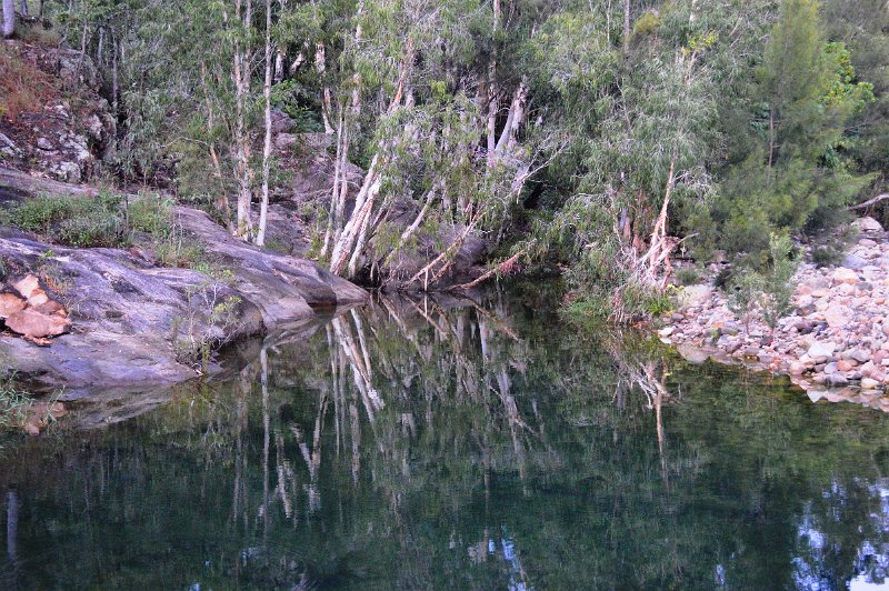 DSC_0001.JPG - An early rise to see if we could spot any Platypus