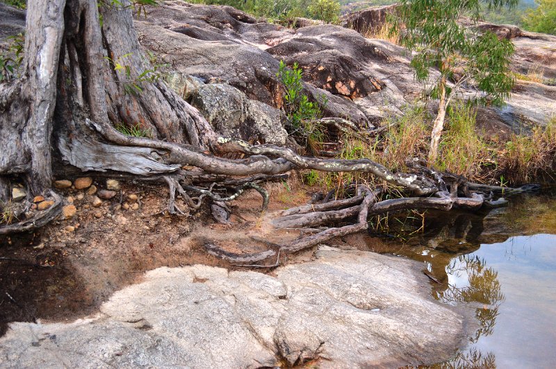 DSC_0008.JPG - Crystal Creek in the Paluma National Park