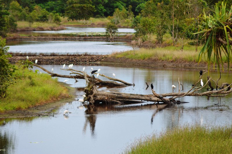 DSC_0030.JPG - Ingham wetlands information centre