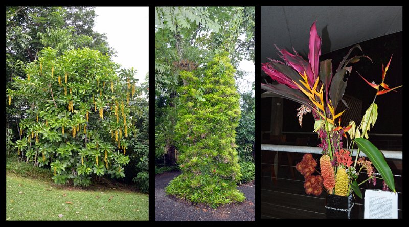 18Paronella3.jpg - Paronella Park - Top gardens
