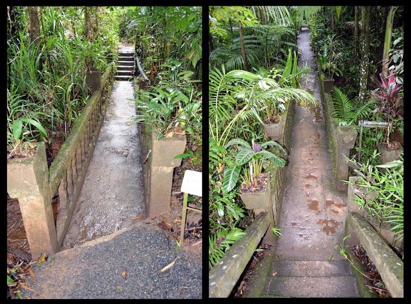 18Paronella5.jpg - Paronella Park - Two of the eight bridges built in the park by Jose