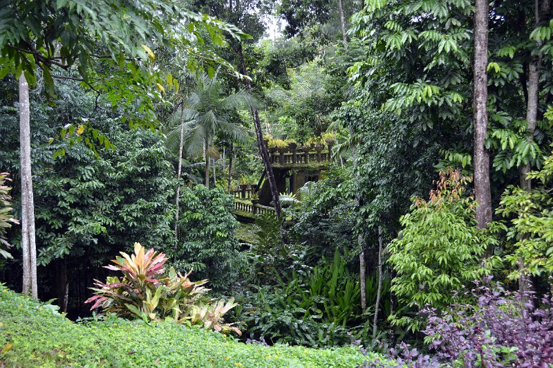 DSC_0051.JPG - Paronella Park