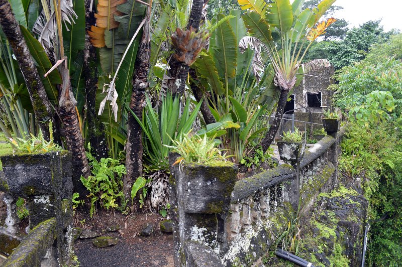 DSC_0059.JPG - Paronella Park