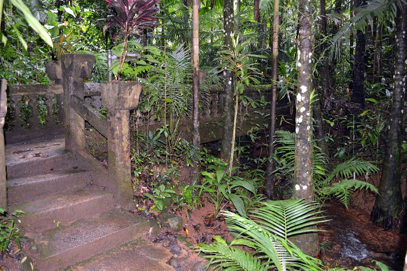 DSC_0096.JPG - Paronella Park - lower gardens