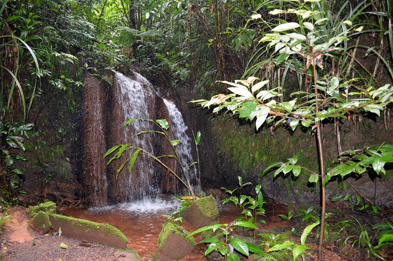 DSC_0098.JPG - Paronella Park - Teresa Falls in the lower garden