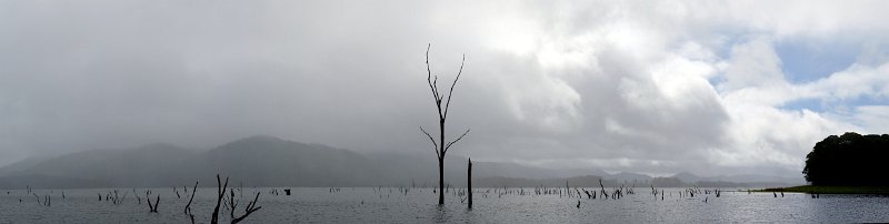 21TinarooPan01.JPG - Lake Tinaroo in the rain and mist
