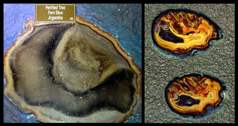 22Atherton10.jpg - The Crystal Caves displays of Geodes, Crystals, Fossils, Petrified timbers