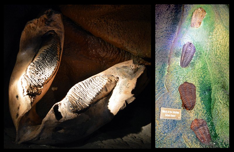 22Atherton14.jpg - The Crystal Caves displays of Geodes, Crystals, Fossils, Petrified timbers