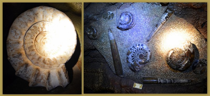 22Atherton17.jpg - The Crystal Caves displays of Geodes, Crystals, Fossils, Petrified timbers