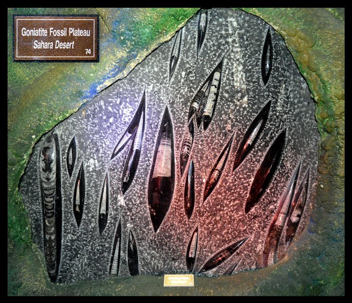 22Atherton8.jpg - The Crystal Caves displays of Geodes, Crystals, Fossils, Petrified timbers