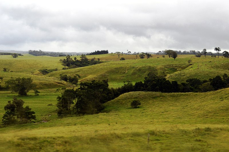 DSC_0068.JPG - North Johnstone region