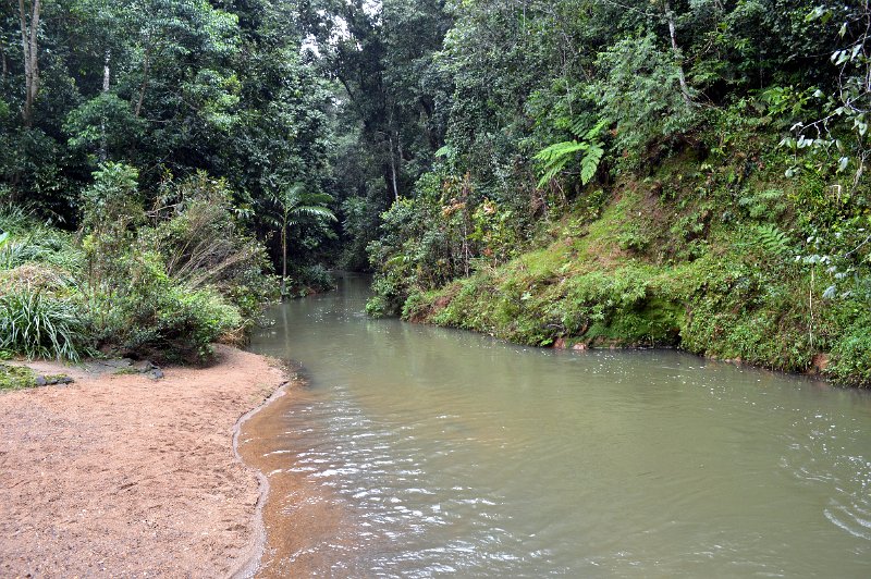 DSC_0087.JPG - Malanda - North Johnstone River