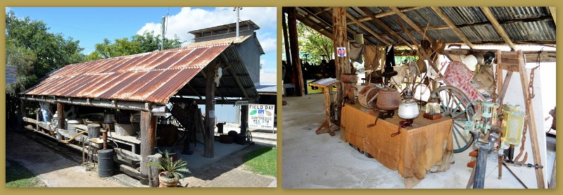 25Mareeba12.jpg - Atherton Tablelands - Mareeba Heritage Museum, rodeo display