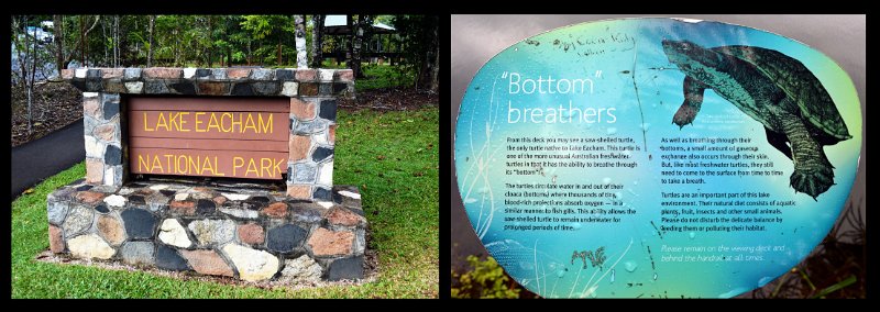 25Mareeba2.jpg - Atherton Tablelands - The Crater Lakes NP - Lake Eacham