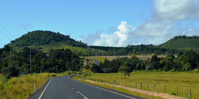 DSC_0008.JPG - Atherton Tablelands - Near Yungaburra is the Curtain Fig Tree