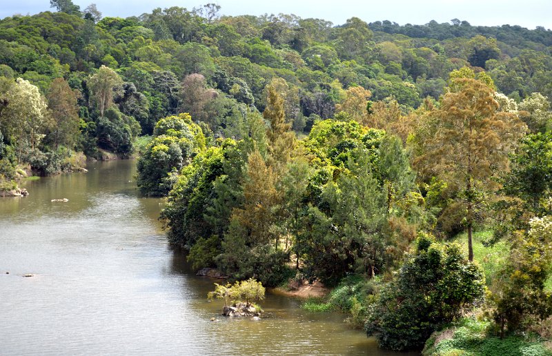 DSC_0077.JPG - Atherton Tablelands - Barron River nearing Cairns