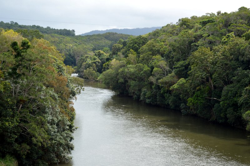 DSC_0078.JPG - Atherton Tablelands - Barron River nearing Cairns