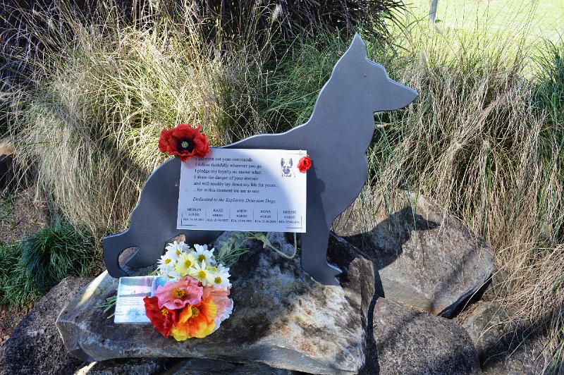DSC_0089.JPG - Atherton Tablelands - Yungaburra, Afghanistan Avenue of Honour