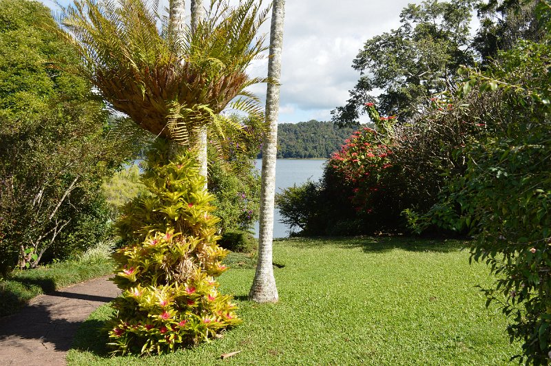 DSC_0106.JPG - Atherton Tablelands - The Crater Lakes NP - Lake Barrine