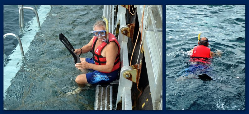 30CairnsReef10.jpg - Snorkelling at Moore Reef