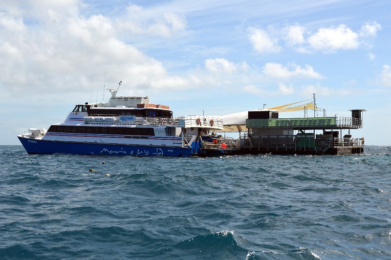 DSC_0087.JPG - Docked at the  Moore Reef pontoon