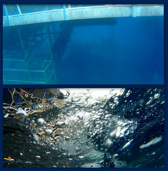 FromMovies11.jpg - Snorkelling at Moore Reef - returning to the pontoon