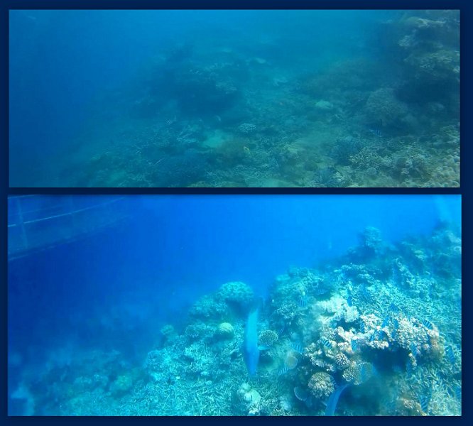 FromMovies4.jpg - Snorkelling at Moore Reef