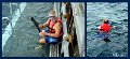 30CairnsReef10