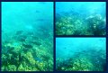 30CairnsReef8