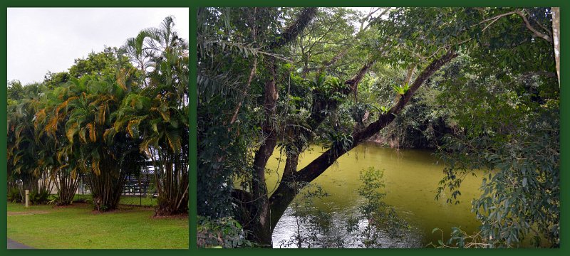 01Mossman3.jpg - Mossman River - backing onto the Riverside Leisure Park