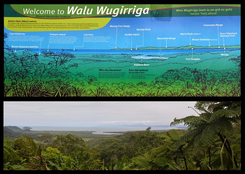 02Daintree17.jpg - Daintree Coast - Alexandra Range lookout