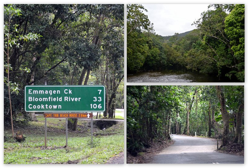 02Daintree19.jpg - Daintree Coast - On the Bloomfield Track